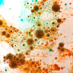 microbes in hydraulic oil AdobeStock_401822017