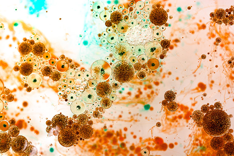 microbes in hydraulic oil AdobeStock_401822017